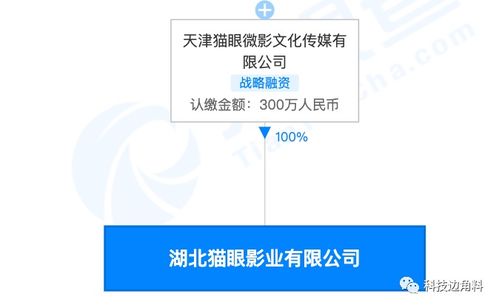 貓眼湖北影業(yè)公司成立 注冊(cè)資本300萬(wàn)，加速?gòu)V播電視節(jié)目制作布局